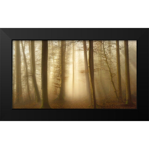 Into the Trees Black Modern Wood Framed Art Print by Maier, Norbert