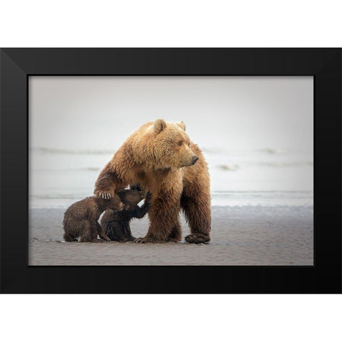 Family Time Black Modern Wood Framed Art Print by Doyle, Renee