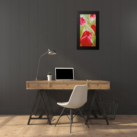 Tulpen II Black Modern Wood Framed Art Print by Schmucker, Annette