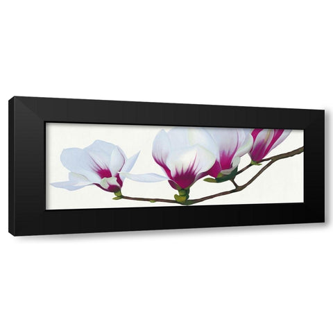 Magnolia Black Modern Wood Framed Art Print with Double Matting by Andrew, Stephanie