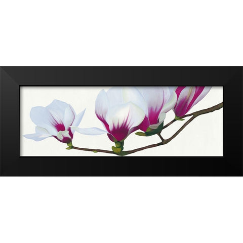 Magnolia Black Modern Wood Framed Art Print by Andrew, Stephanie