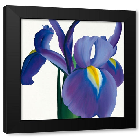 Iris Black Modern Wood Framed Art Print by Andrew, Stephanie