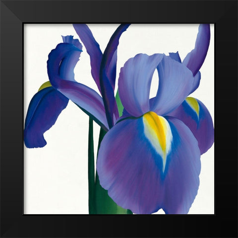 Iris Black Modern Wood Framed Art Print by Andrew, Stephanie