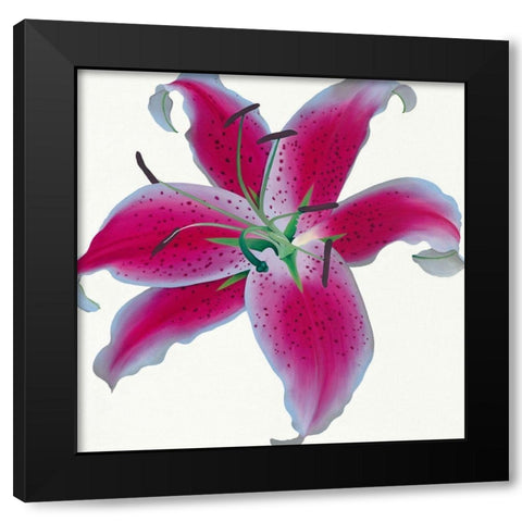 Lily Black Modern Wood Framed Art Print with Double Matting by Andrew, Stephanie