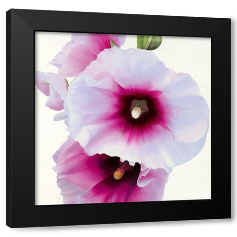 White Hollyhock I Black Modern Wood Framed Art Print by Andrew, Stephanie
