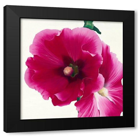 Pink Hollyhock I Black Modern Wood Framed Art Print by Andrew, Stephanie