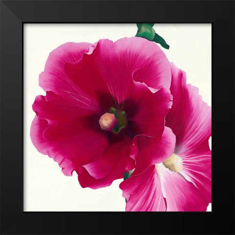 Pink Hollyhock I Black Modern Wood Framed Art Print by Andrew, Stephanie