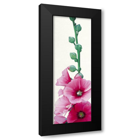 Pink Hollyhock II Black Modern Wood Framed Art Print with Double Matting by Andrew, Stephanie