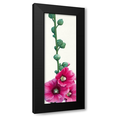 Pink Hollyhock III Black Modern Wood Framed Art Print with Double Matting by Andrew, Stephanie