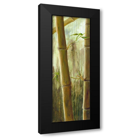 Rainforest III Black Modern Wood Framed Art Print with Double Matting by Haggenmacher, Maritta