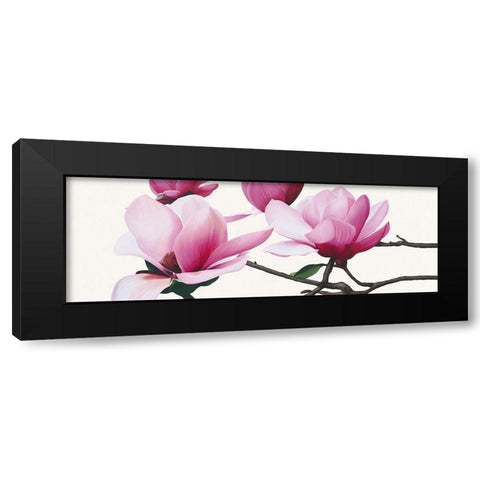 Apollo I (Magnolia) Black Modern Wood Framed Art Print by Andrew, Stephanie