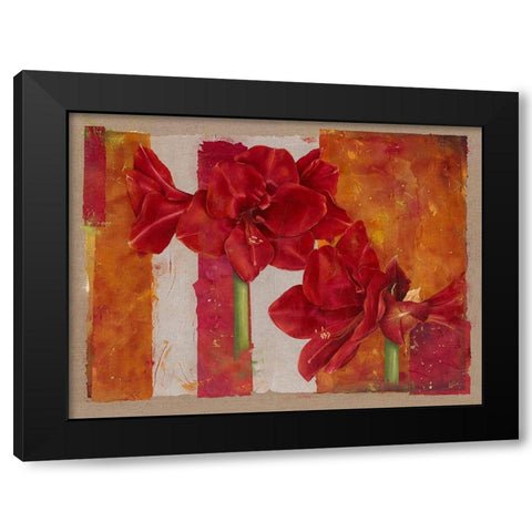 Amaryllis Black Modern Wood Framed Art Print with Double Matting by Cadoret, Virginie