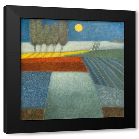 Evening Shadows I Black Modern Wood Framed Art Print by van Hoek, Rob