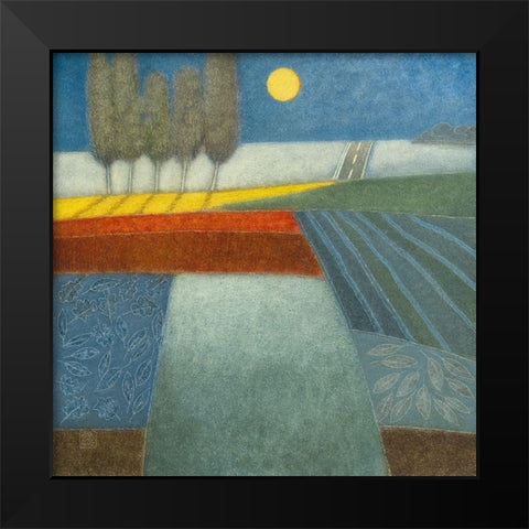 Evening Shadows I Black Modern Wood Framed Art Print by van Hoek, Rob