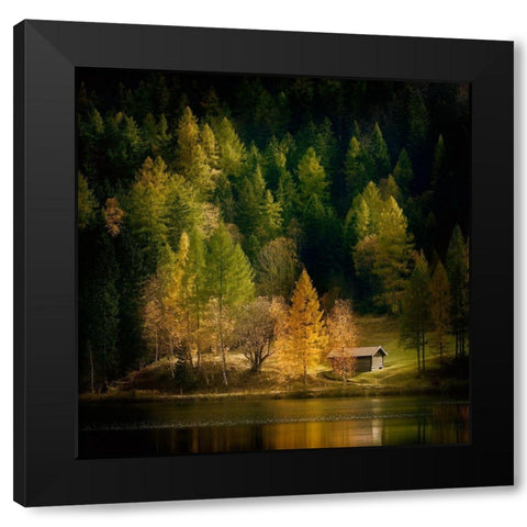 Nature Art Color I Black Modern Wood Framed Art Print with Double Matting by Steger, Uwe