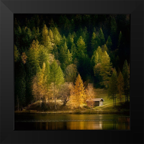 Nature Art Color I Black Modern Wood Framed Art Print by Steger, Uwe