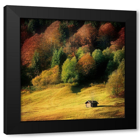 Nature Art Color II Black Modern Wood Framed Art Print by Steger, Uwe