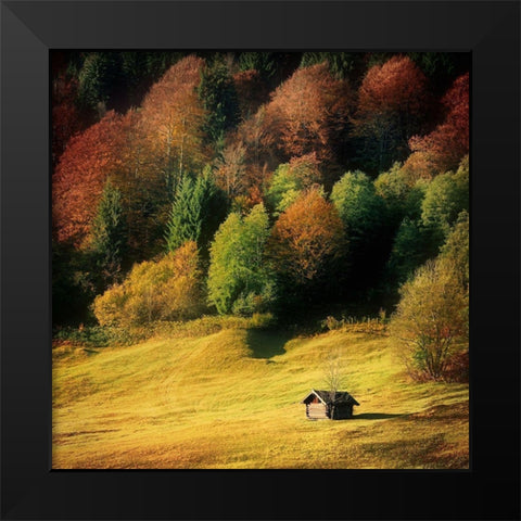 Nature Art Color II Black Modern Wood Framed Art Print by Steger, Uwe