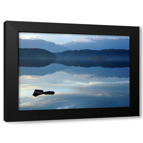 Nature Art Color IV Black Modern Wood Framed Art Print with Double Matting by Steger, Uwe