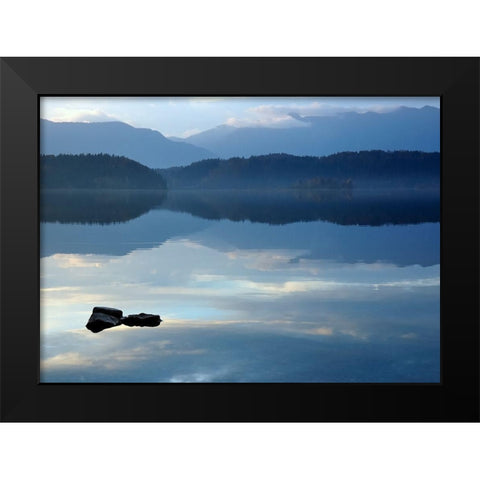 Nature Art Color IV Black Modern Wood Framed Art Print by Steger, Uwe