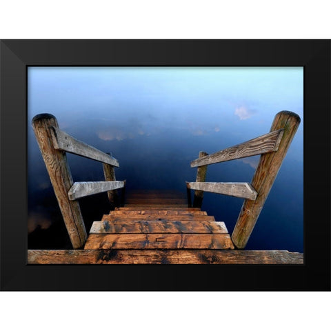 Nature Art Color VI Black Modern Wood Framed Art Print by Steger, Uwe