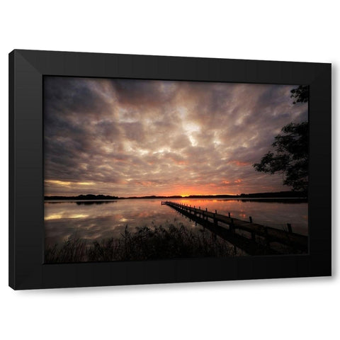 Nature Art Color IX Black Modern Wood Framed Art Print by Steger, Uwe