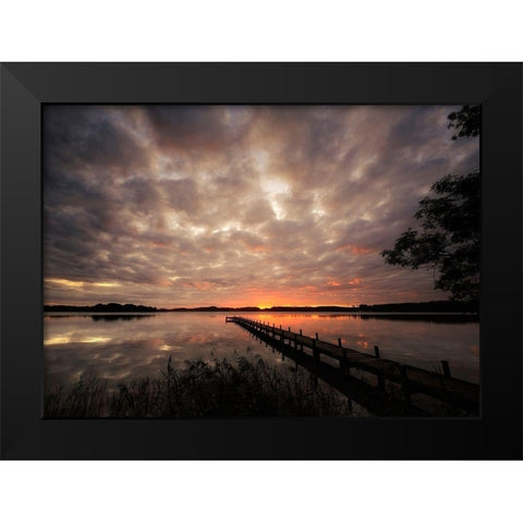 Nature Art Color IX Black Modern Wood Framed Art Print by Steger, Uwe