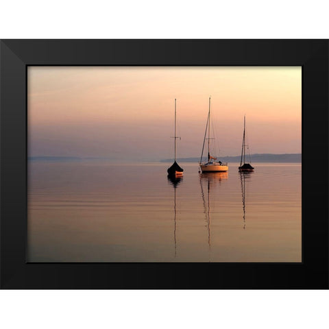 Nature Art Color X Black Modern Wood Framed Art Print by Steger, Uwe