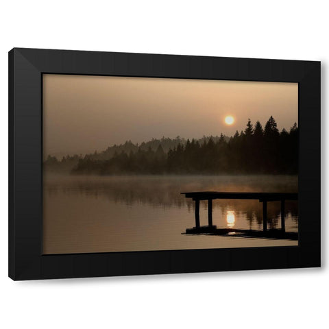 Nature Art Color XI Black Modern Wood Framed Art Print by Steger, Uwe