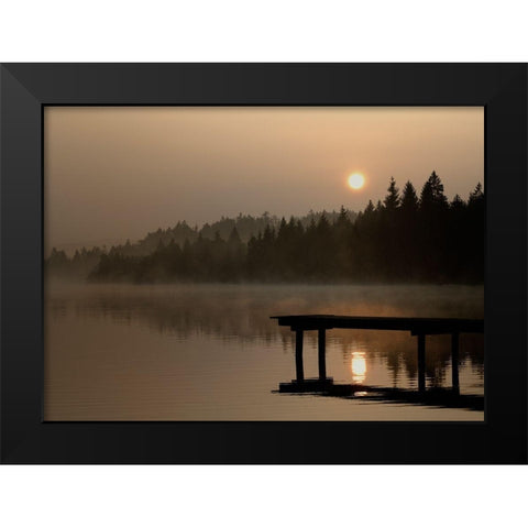 Nature Art Color XI Black Modern Wood Framed Art Print by Steger, Uwe