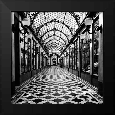 Passage des princes-Paris Black Modern Wood Framed Art Print by Butcher, Dave