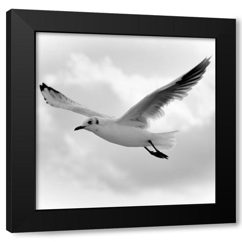 Fly Away Black Modern Wood Framed Art Print by Steger, Uwe