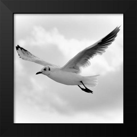 Fly Away Black Modern Wood Framed Art Print by Steger, Uwe