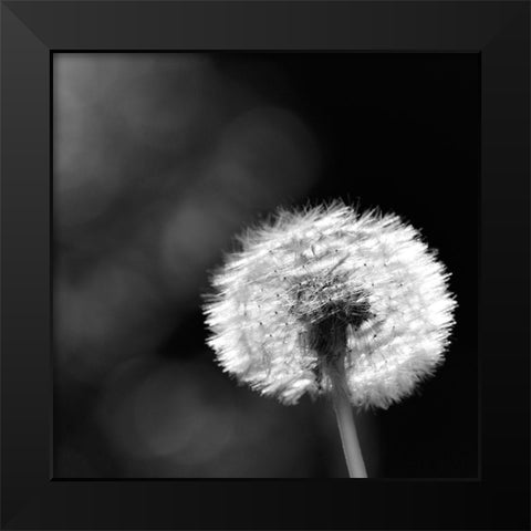 Summerspirit... Black Modern Wood Framed Art Print by Steger, Uwe