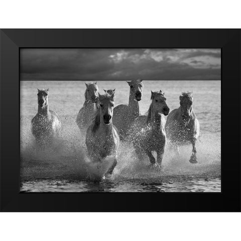 Horses Landing at the Beach Black Modern Wood Framed Art Print by Llovet, Jorge