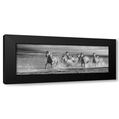 Horses Running at the Beach Black Modern Wood Framed Art Print by Llovet, Jorge