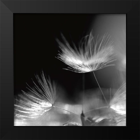 Summerstorm Black Modern Wood Framed Art Print by Steger, Uwe
