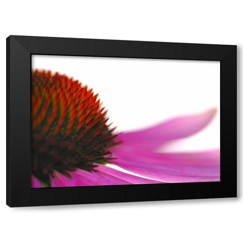 Leftside Black Modern Wood Framed Art Print with Double Matting by Steger, Uwe