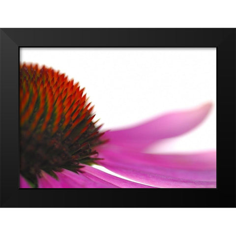 Leftside Black Modern Wood Framed Art Print by Steger, Uwe