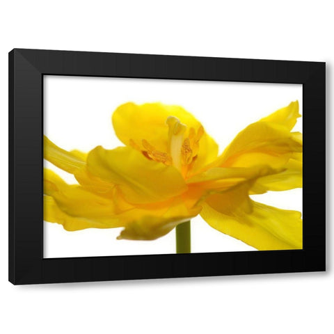 Frontside Black Modern Wood Framed Art Print with Double Matting by Steger, Uwe