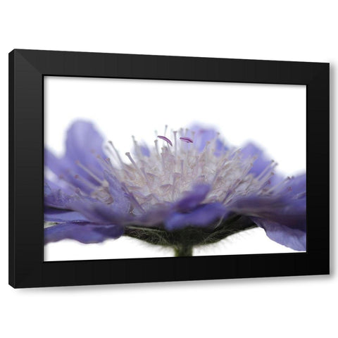 Inside Black Modern Wood Framed Art Print by Steger, Uwe