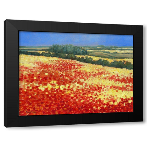 Harvest Poppies Black Modern Wood Framed Art Print by Mayes, Hilary