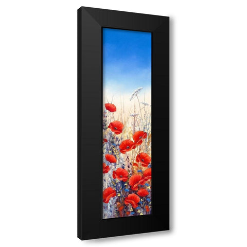 Poppy Field II Black Modern Wood Framed Art Print with Double Matting by Mayes, Hilary