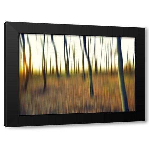 Abstrahierte Welten II Black Modern Wood Framed Art Print with Double Matting by Suschaa