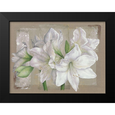 Amaryllis Blanc Black Modern Wood Framed Art Print by Cadoret, Virginie