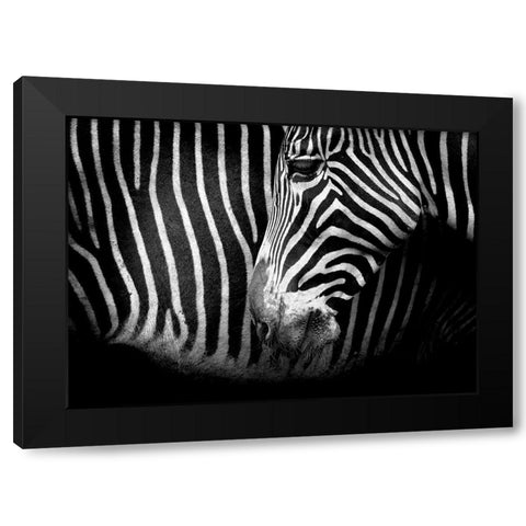 Closer Black Modern Wood Framed Art Print with Double Matting by Cano, Marina