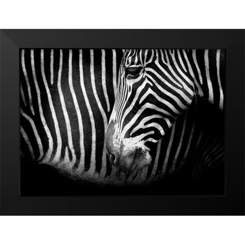 Closer Black Modern Wood Framed Art Print by Cano, Marina