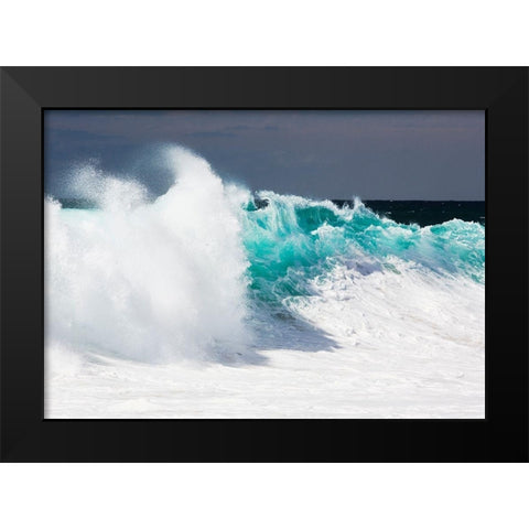 Baja California Black Modern Wood Framed Art Print by Westfield, Wim