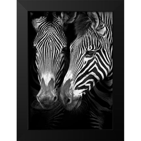 In the Mirror Black Modern Wood Framed Art Print by Cano, Marina