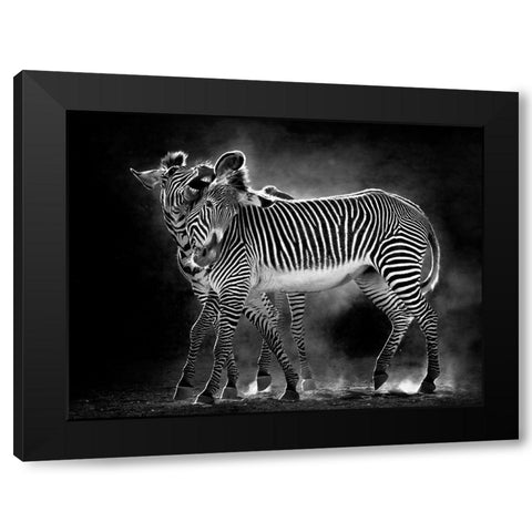 Wild Dance Black Modern Wood Framed Art Print with Double Matting by Cano, Marina